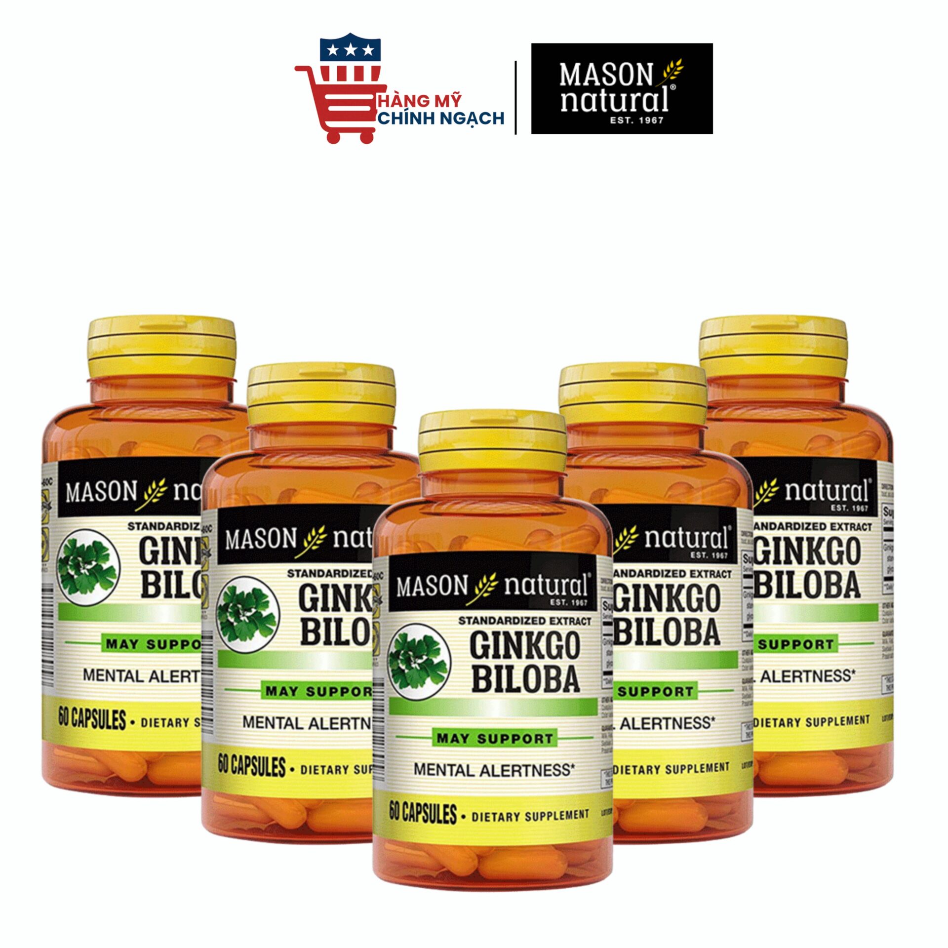 Mason Natural Ginkgo Biloba 125mg - Hỗ Trợ Tuần Hoàn Máu Não & Tăng Cường Trí Nhớ
