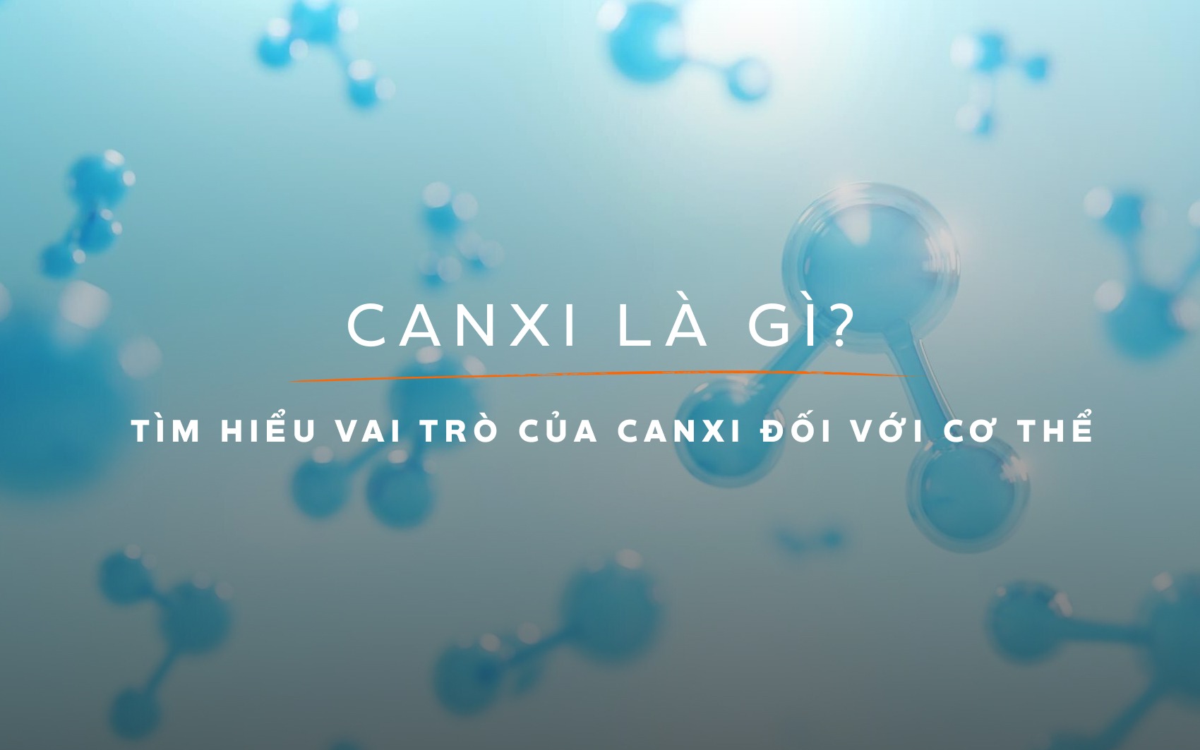Canxi là gì? Tìm hiểu vai trò của canxi đối với cơ thể